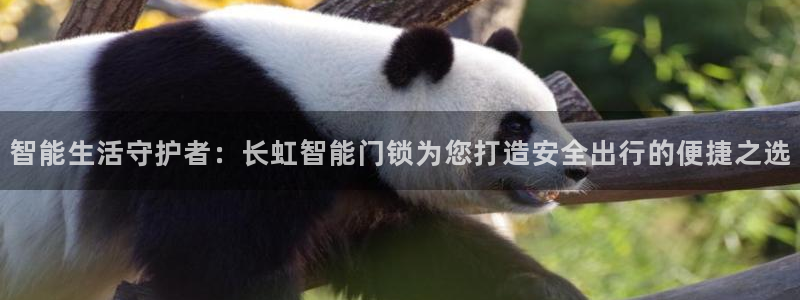 金年会吧：智能生活守护者：长虹智能门锁为您打造安全出行的便捷