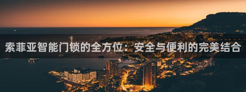 金年会游戏官网：索菲亚智能门锁的全方位：安全与便利的完美结合