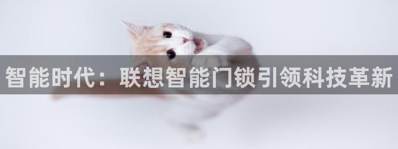 金帆年会2017：智能时代：联想智能门锁引领科技革新