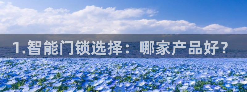 金年会是正规平台吗：1.智能门锁选择：哪家产品好？