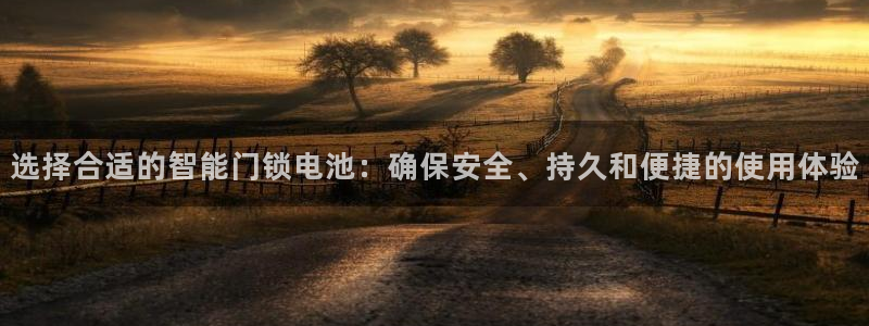 金靖年会：选择合适的智能门锁电池：确保安全、持久和便捷的使用