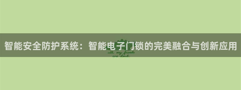 金进年会：智能安全防护系统：智能电子门锁的完美融合与创新应用