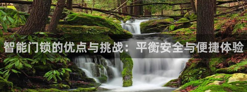 金年会体育官方下载