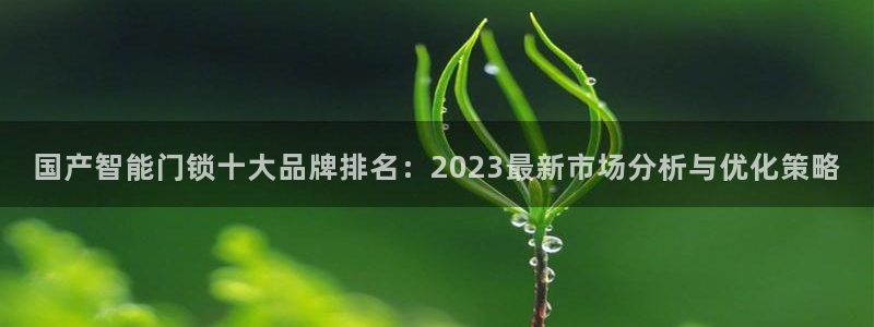 金年会体育金年会官网：国产智能门锁十大品牌排名：2023最新
